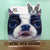 Face Masks - Dog & Cat - Store Pickup